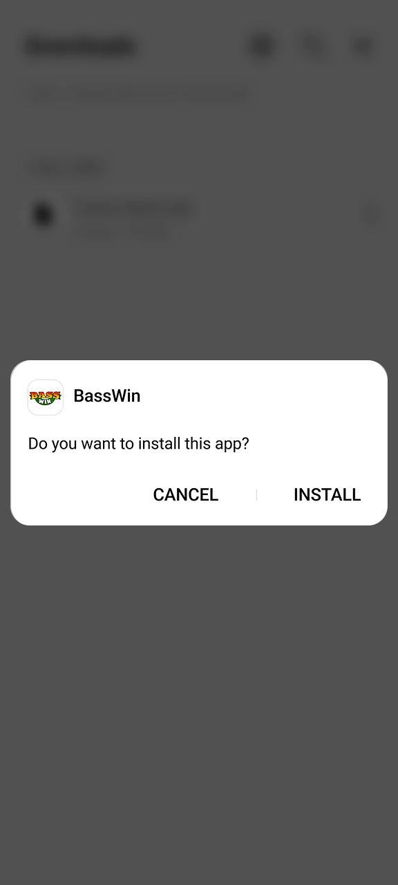 Tap Install to complete the installation of the Basswin app.