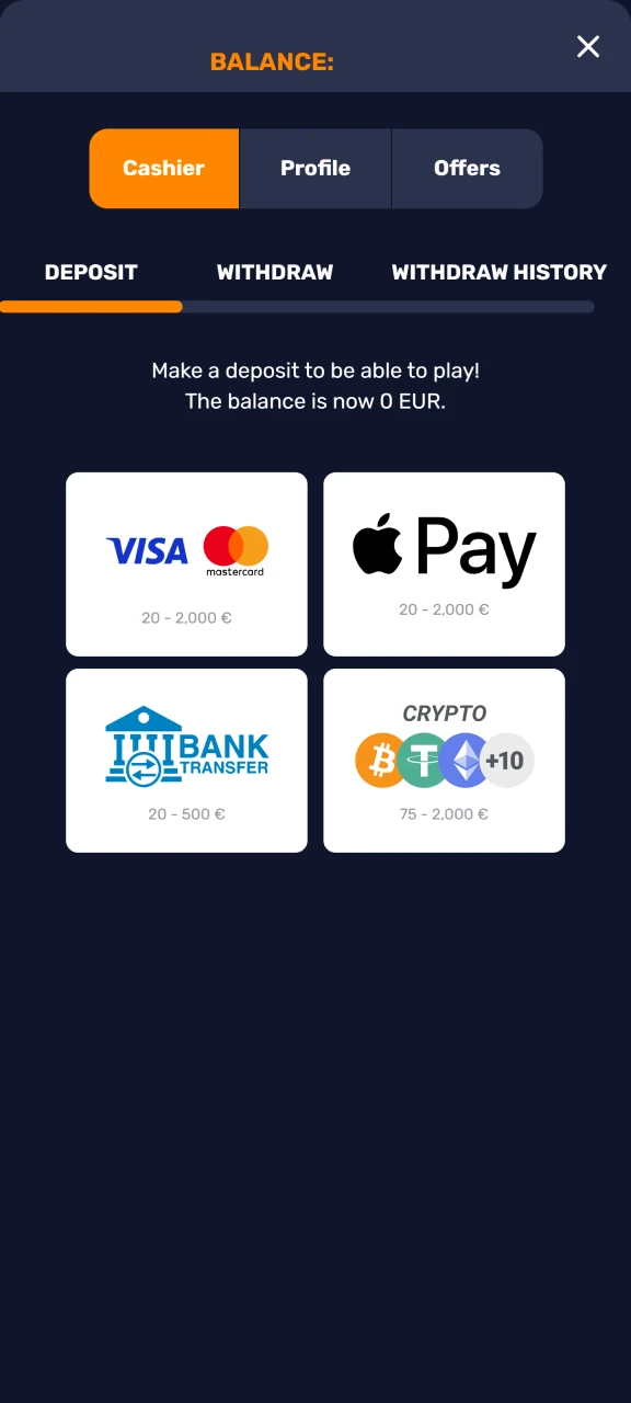 Select a payment method and enter your account details on the Basswin website.