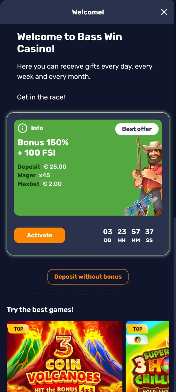 If necessary, you can enter a promo code on the Basswin website.